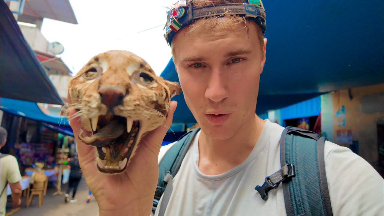 Iquitos & largest ILLEGAL EXOTIC animal market in 🇵🇪 Peru