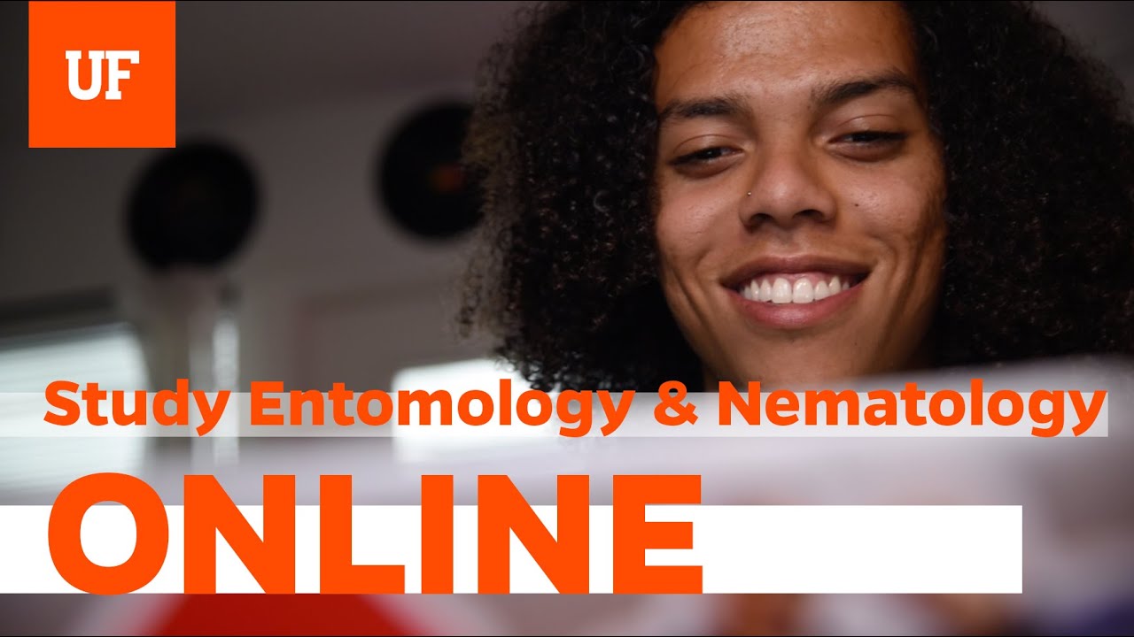 Study Entomology ONLINE!
