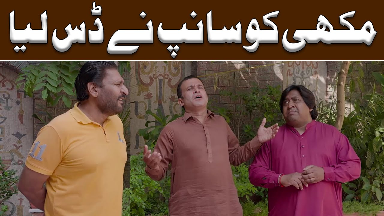 Rana Ijaz adopted a snake | Standup Comedy By Rana Ijaz | Rana Ijaz New Funny Video | #ranaijaz