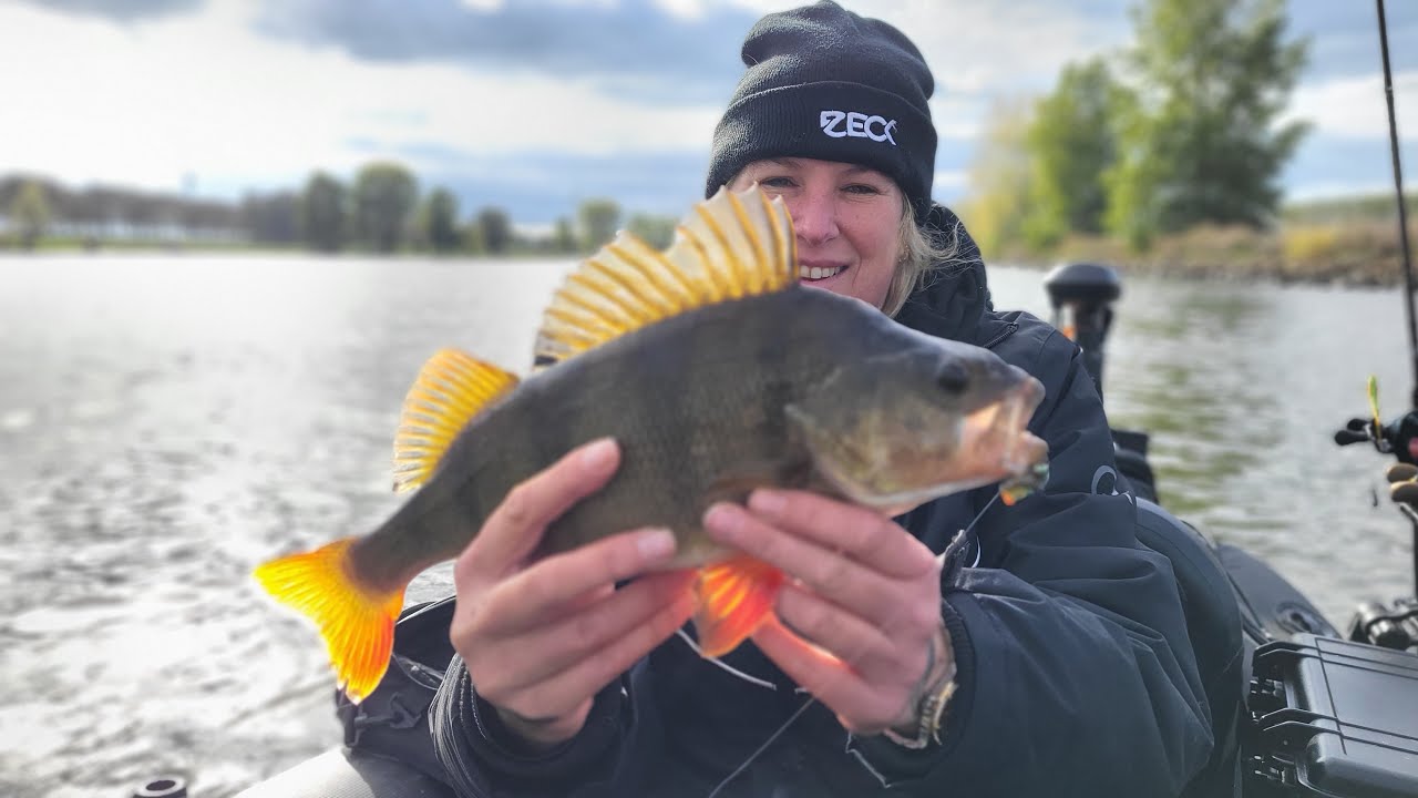 Zo vis je effectief met Blade Baits –Patriot Blades Roofvis Tutorial! 