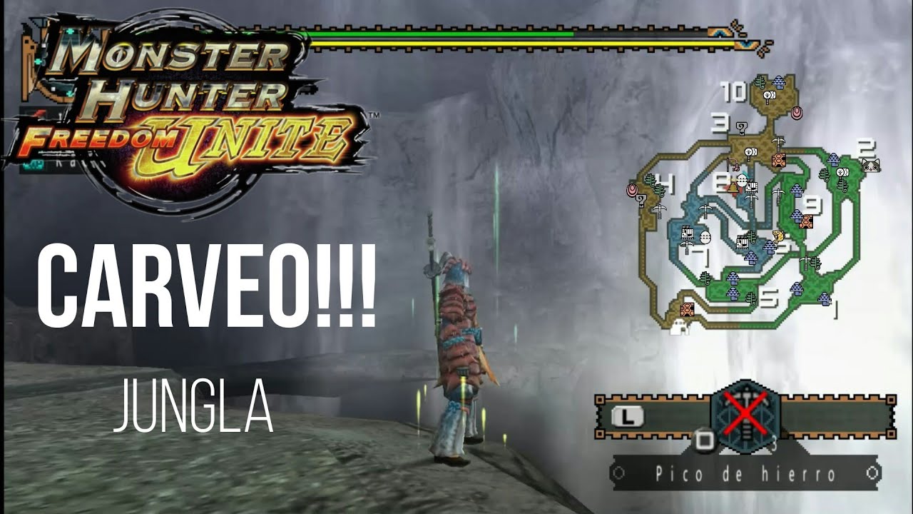 TODOS los puntos de CARVEO!!! /Jungla - Monster Hunter Freedom Unite