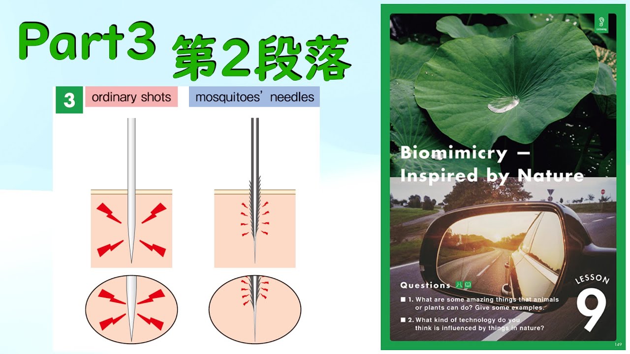 FLEX Lesson9 Part3 第2段落