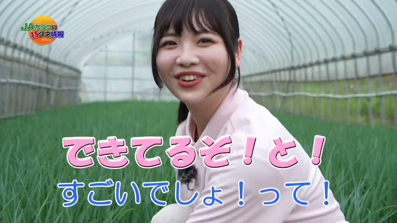 第３２８回ＪＡからつの特ダネ情報『小ねぎ』