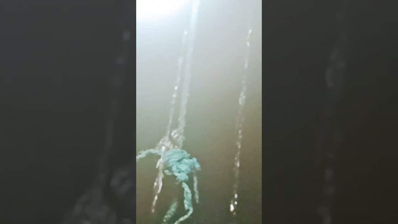 #song