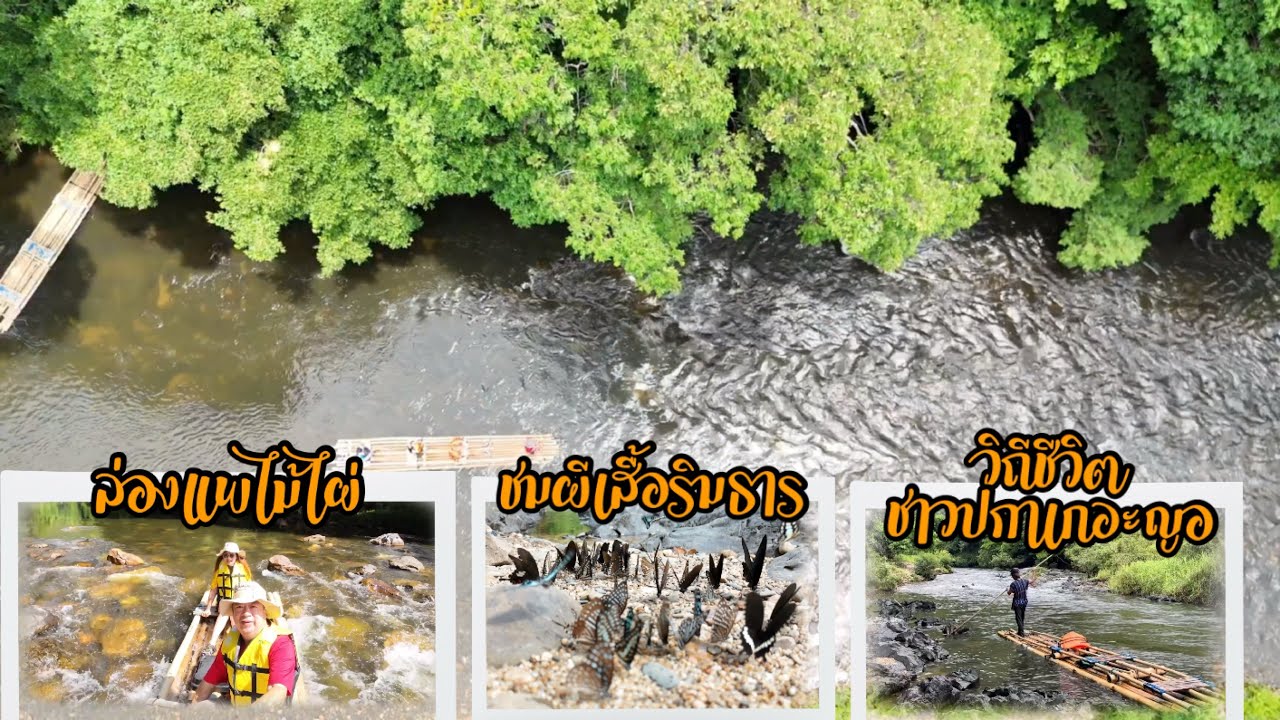 ชมผีเสื้อ ล่องแพไม้ไผ่ลำน้ำพริบพรี ที่บ้านโป่งลึกบางกลอย