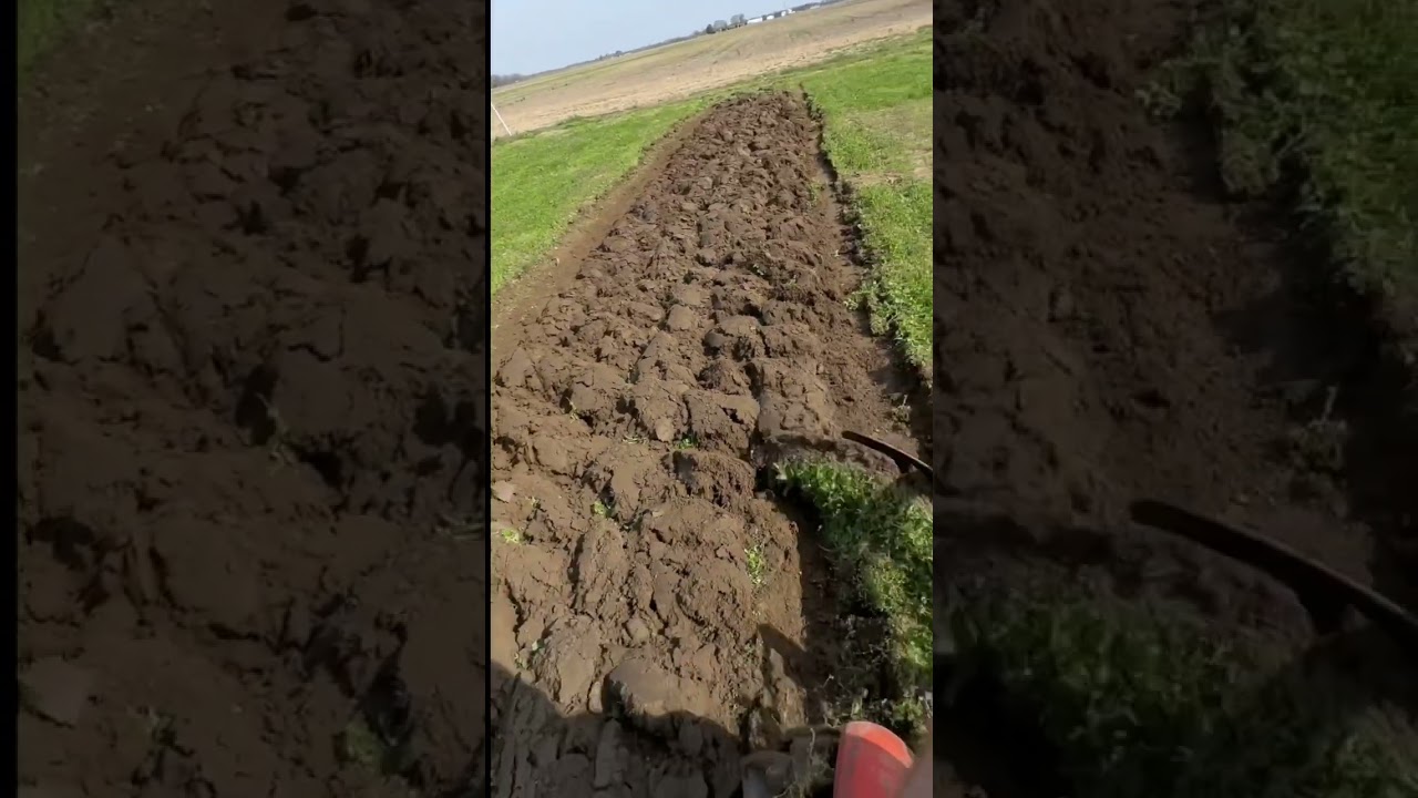 Satisfying! Plowing clover! #covercrops #powerking #farming #plowing #brinly #tractor #plow