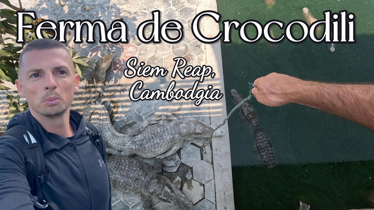 Inmormantare, CROCODILI si alte peripetii in CAMBODGIA | crocodile farm #travel #crocodile #cambodia