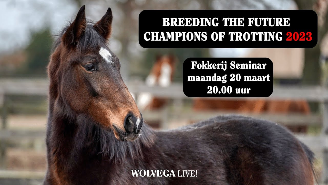 Fokkerij Seminar | Breeding the Future Champions of Trotting 2023