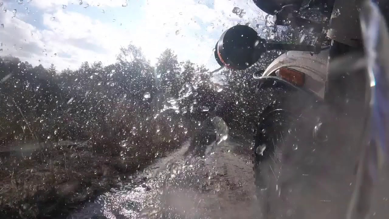 Ural Pine Barrens New Years Ride 2019