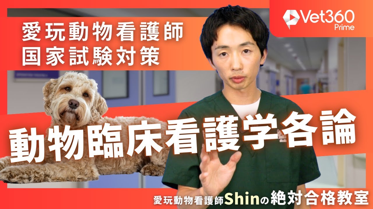 【#2 動物臨床看護学各論】愛玩動物看護師国家試験：愛玩動物看護師Shinの絶対合格教室