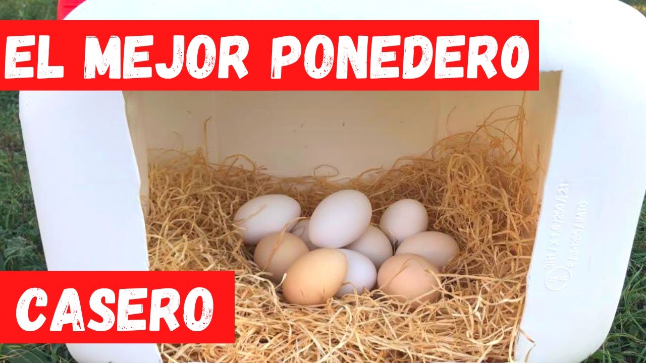 💚 PONEDERO PARA GALLINAS FACIL Y RECICLADO. NIDO PARA GALLINAS PONEDORAS
