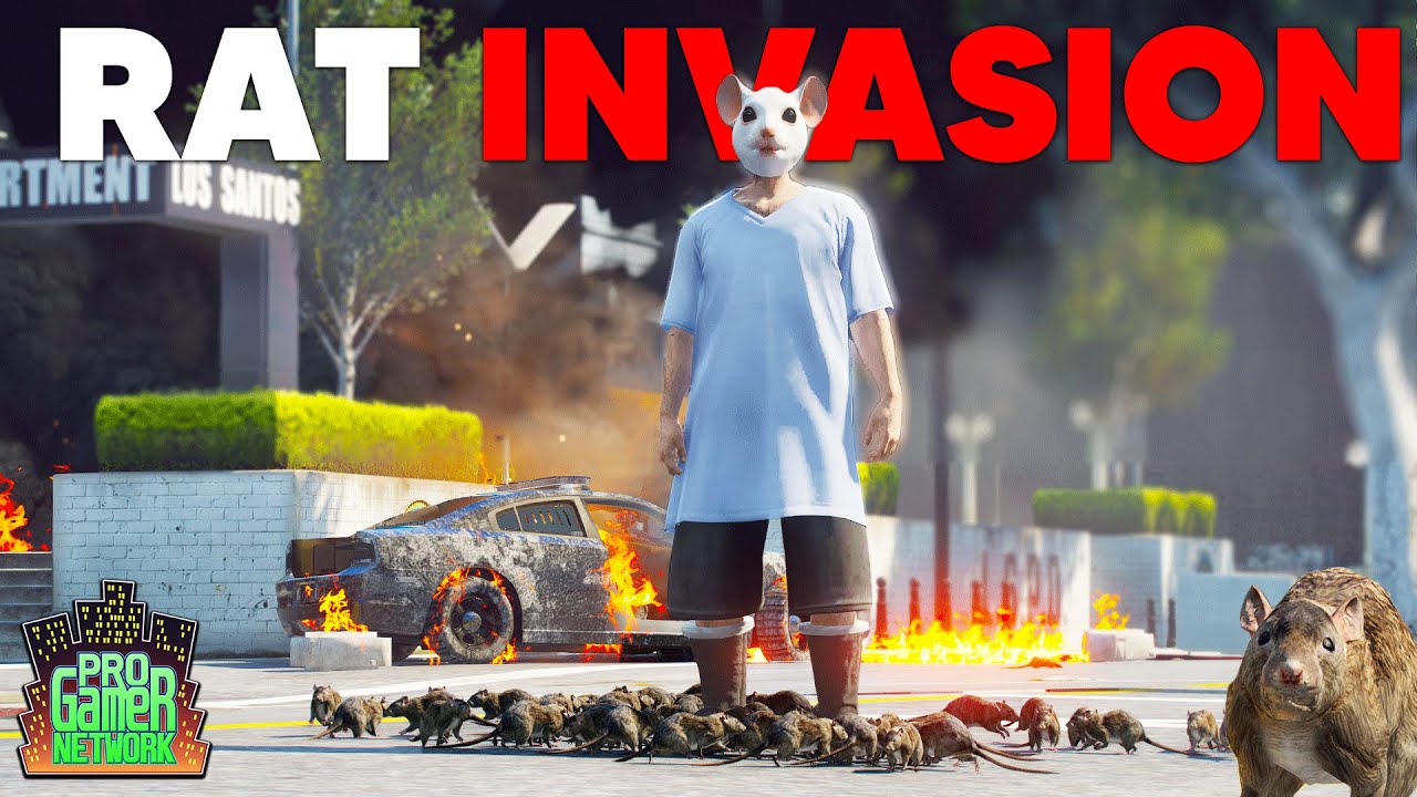 Армия крыс вторгается в город! | PGN # 241 | Ролевая игра GTA 5