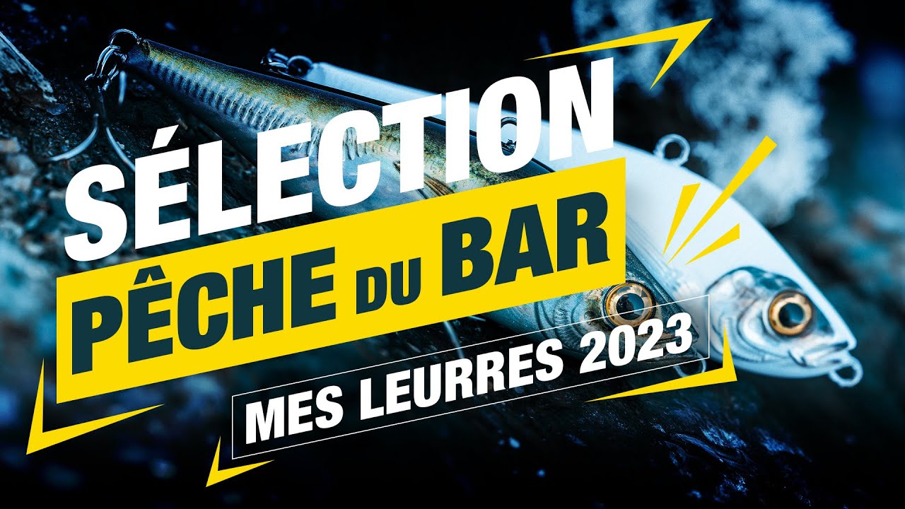 P&ecirc;che du bar ! Ma s&eacute;lection de leurre 2023