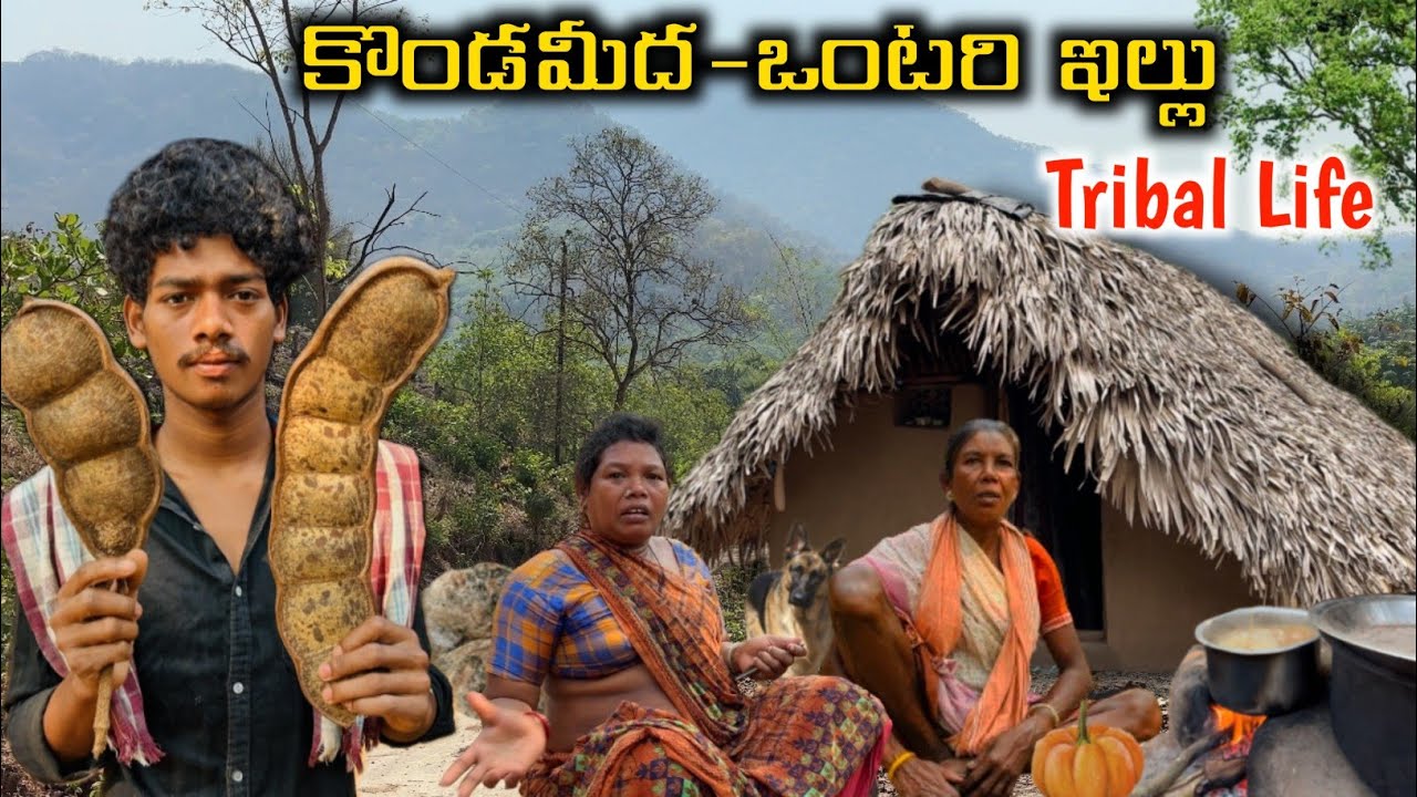 దట్టమైన అడవిలో ఒంటరి కుటుంబం | Tribal family lives in dency forest #kondareddy @TribalMirror