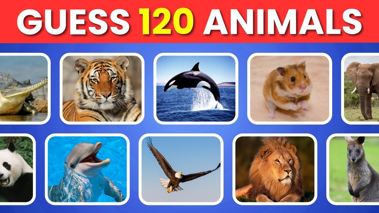 Guess 120 Animals in 3 Seconds | Easy, Medium, Hard, Impossible