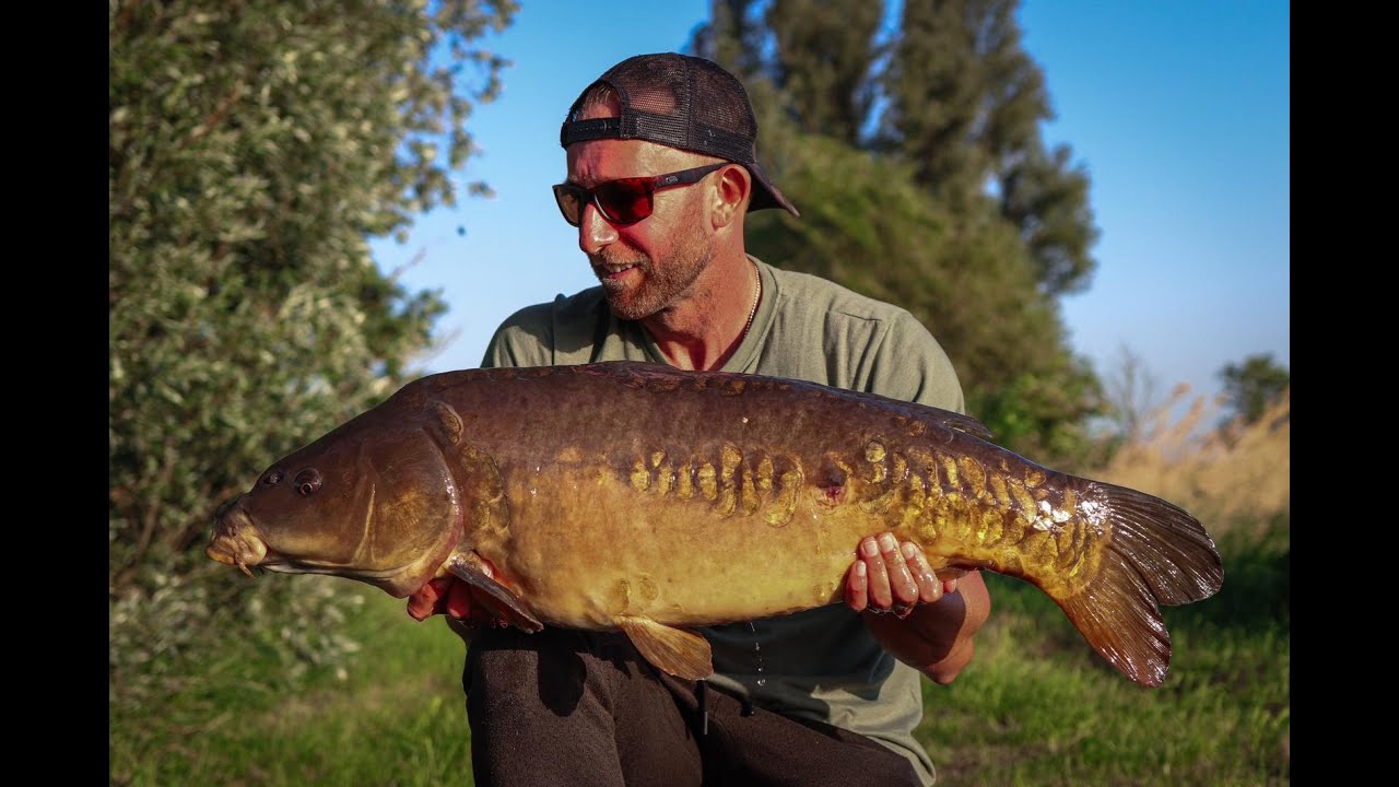 Carp Life - WORKING AT MY LAKE!