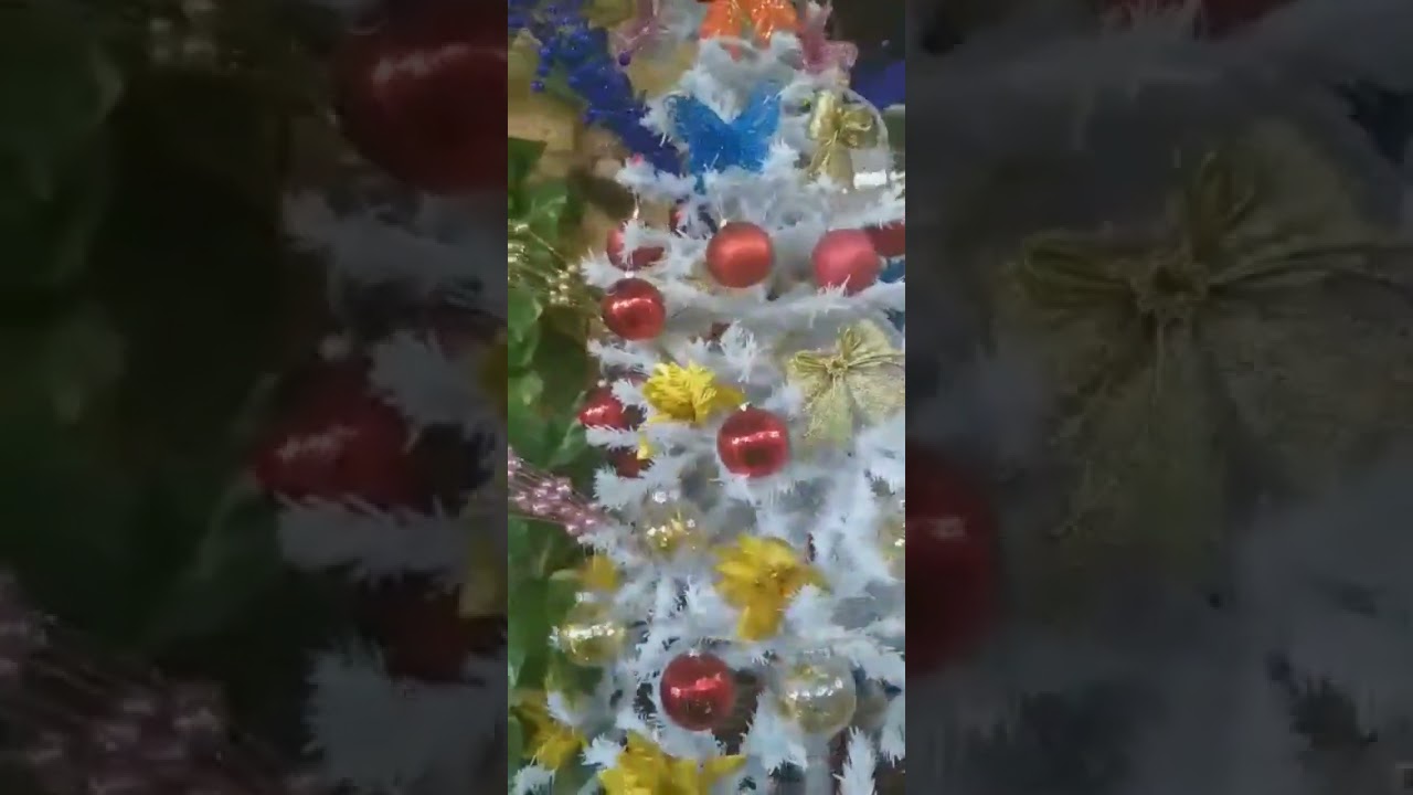 MERRY CHRISTMAS 🎄|Kcz World|