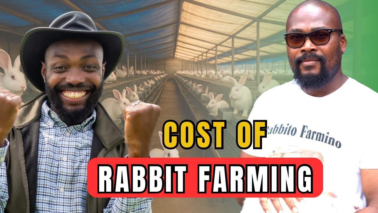 HOW MUCH MONEY YOU WILL MAKE AS A BEGINNER RABBIT FARMER