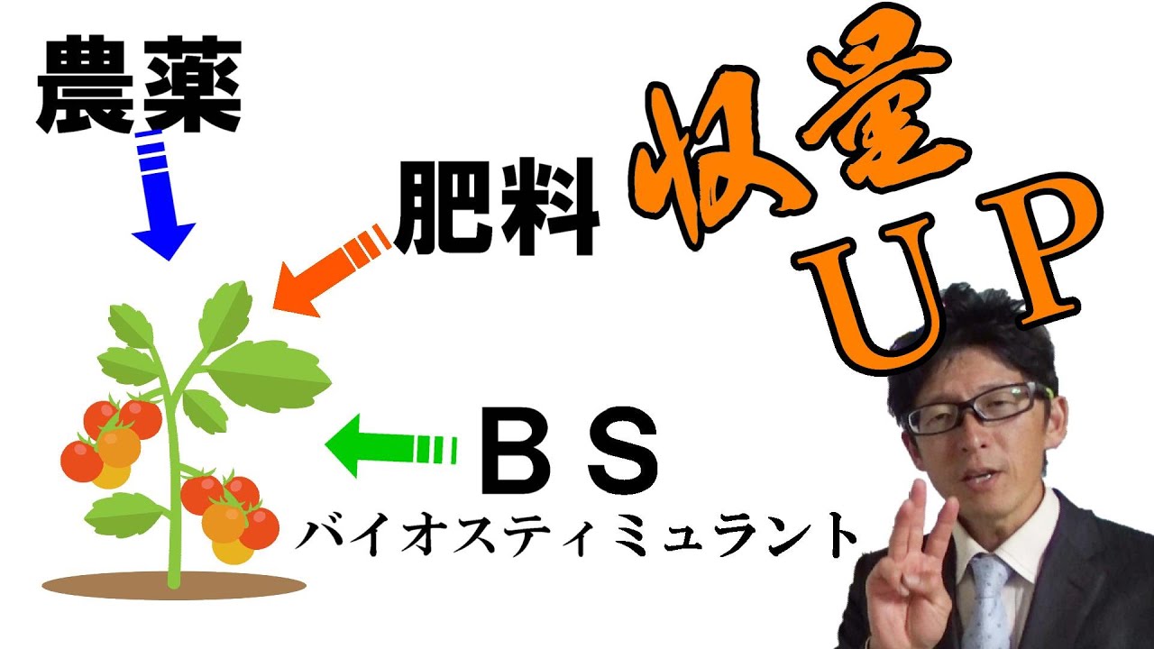【農薬・肥料とは違う】バイオスティミュラントを使いこなせば収量アップまちがいなし