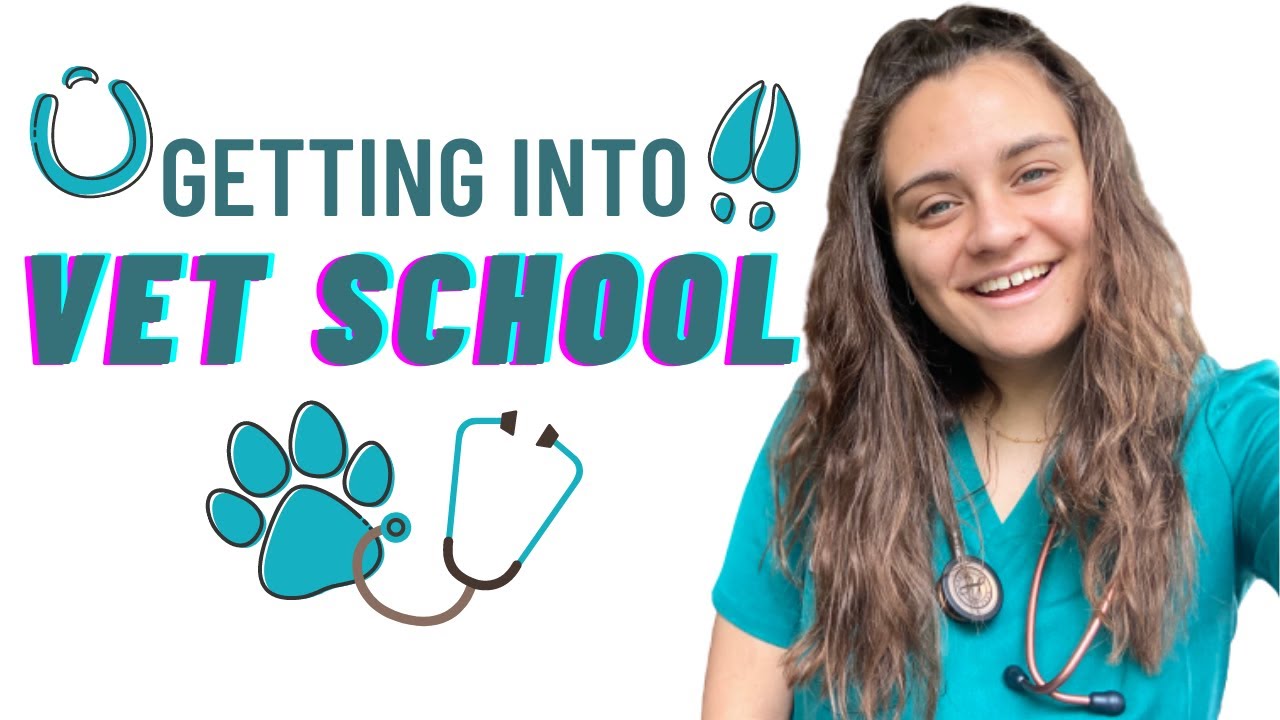 Getting Into Vet School