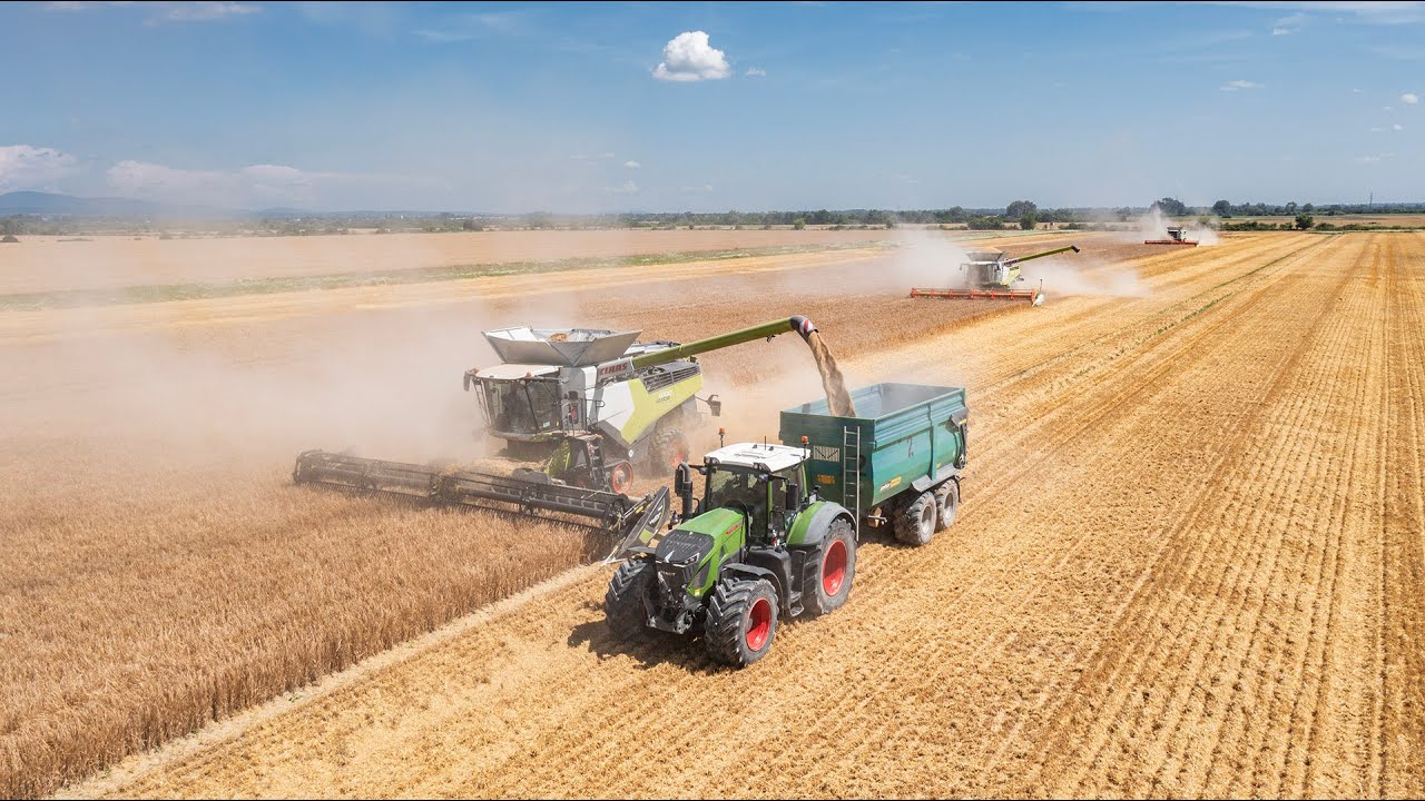 STORY | Žatva 2024 | AgroSpol Michalovce | Sladovňa Michalovce | CLAAS | FENDT | 4K
