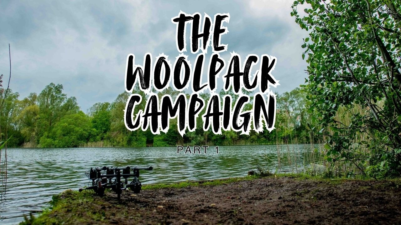 THE WOOLPACK CAMPAIGN | 2021/2022 SEASON | PART 1 | FIRST BLOOD