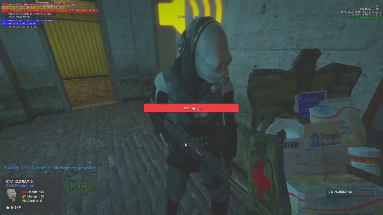 [Landis Half Life 2 RP] Civil Protection crashes wedding.