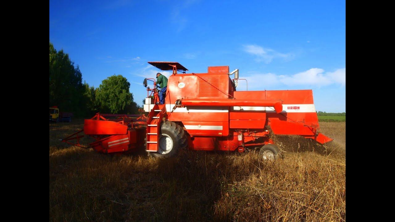 Zwinność Z057