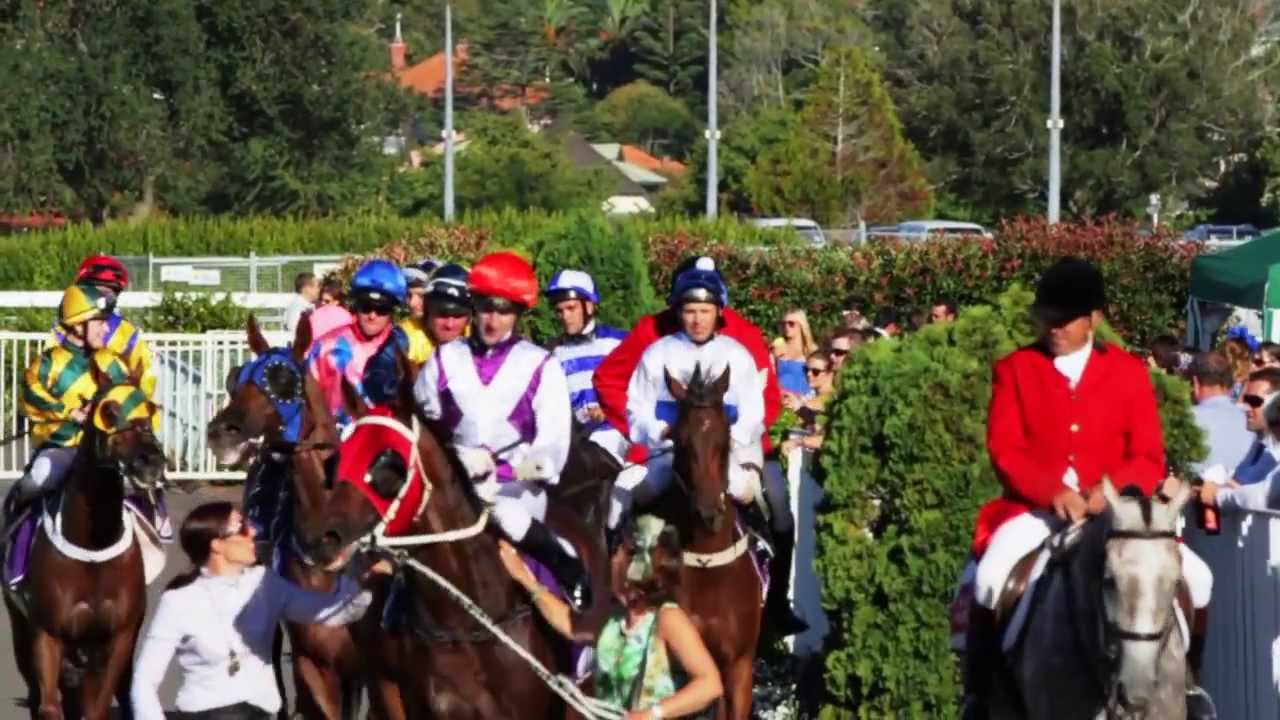 Auckland Cup Week 2013