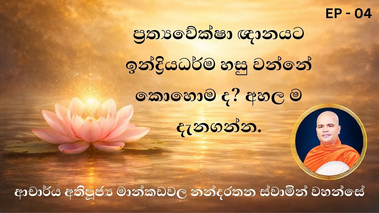 මාර්ගඵල සිතක ඉන්ද්‍රියධර්ම යෙදෙන්නේ කෙසේද? | Indriya-Dhamma in Paccavekkhaṇa-Ñāṇa (Abhidhamma)
