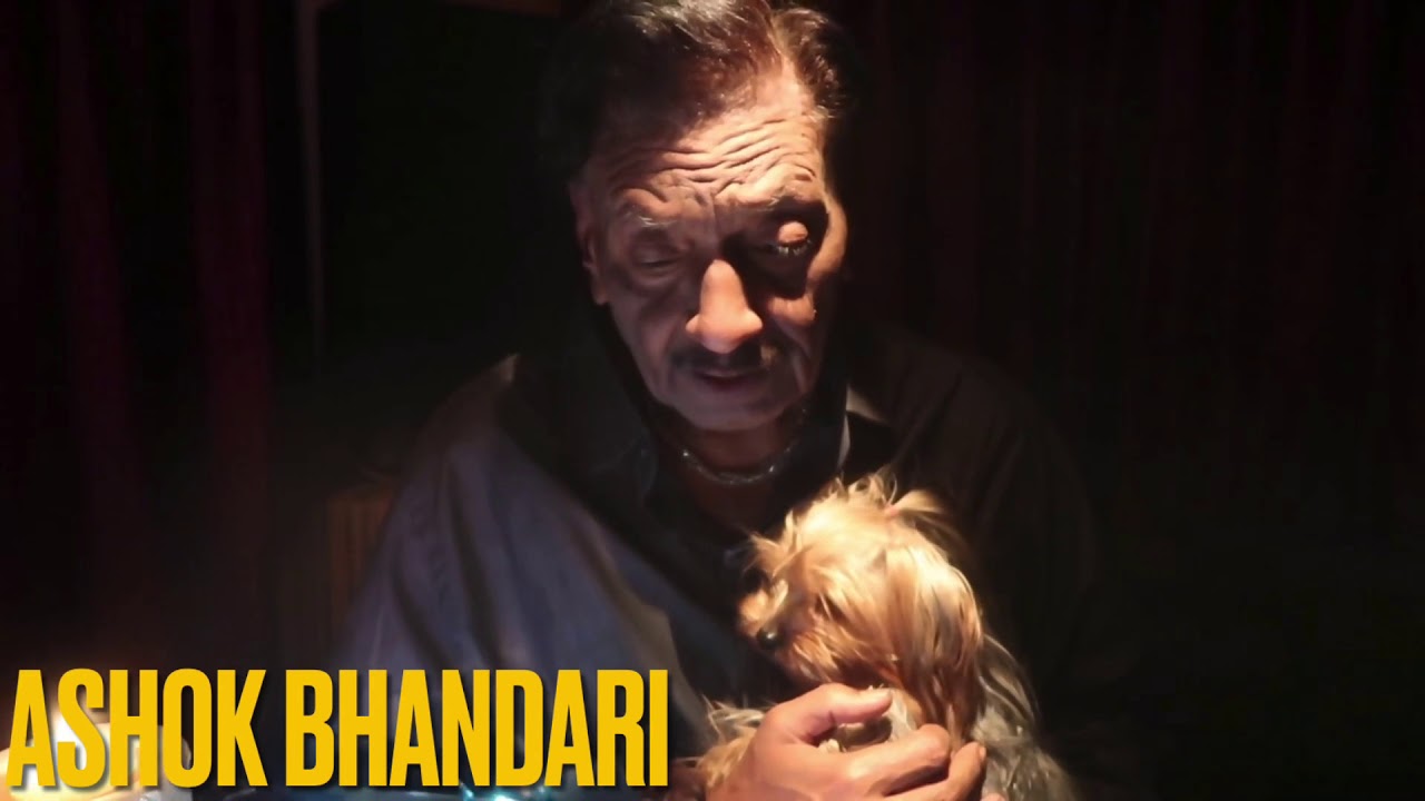 AAJA SANAM MADHUR CHANDNI MAIN HUM | Ashok Bhandari Harmonica