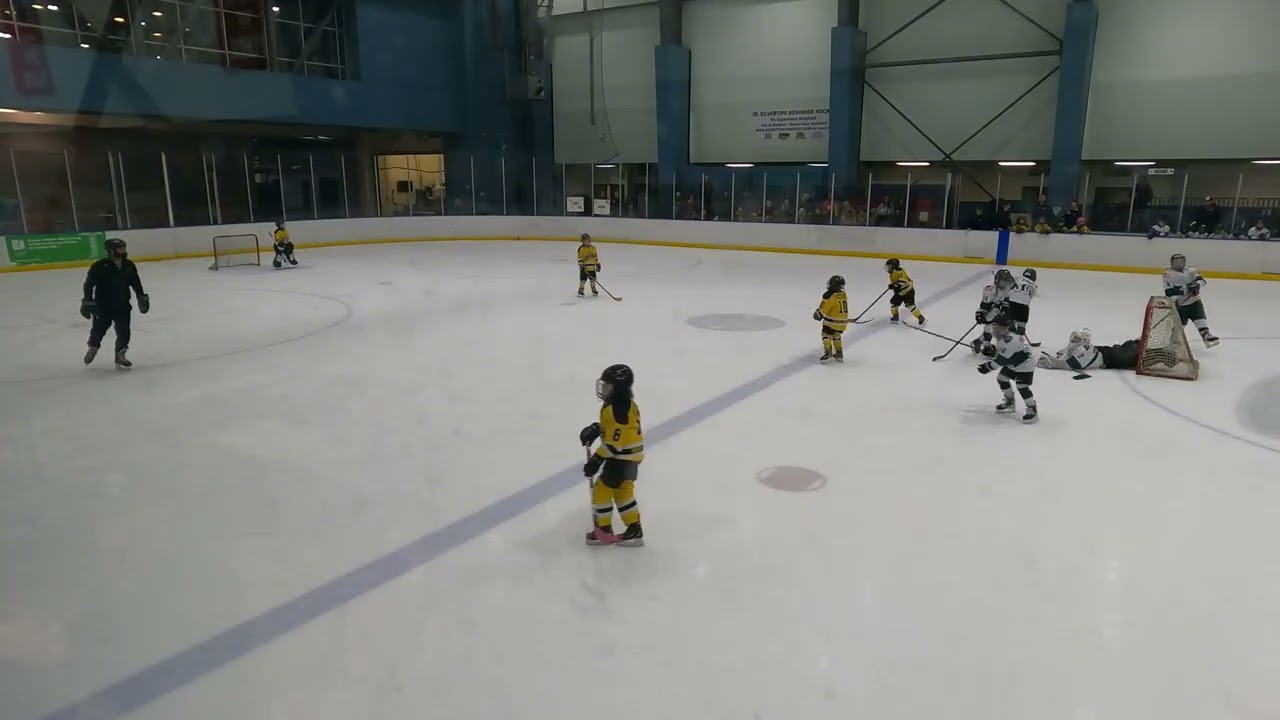 Kodiaks EYH8U vs Kent Maize 2 22 2026