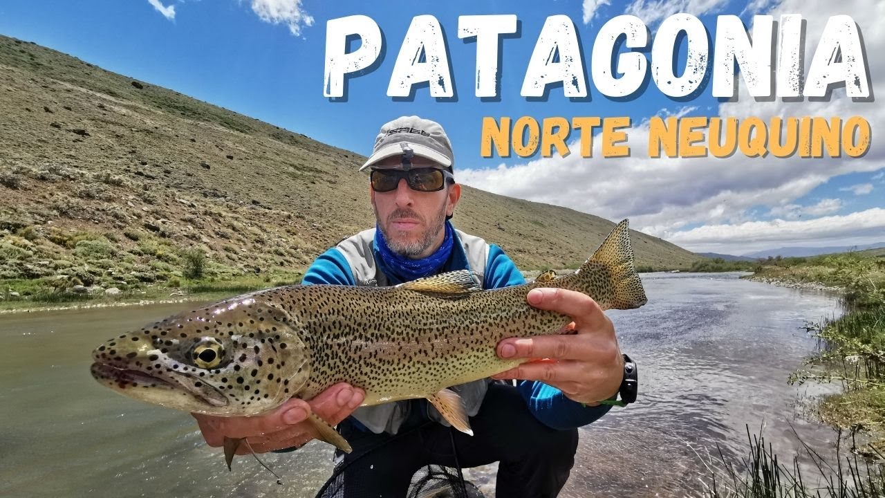 PESCA CON MOSCA EN EL NORTE NEUQUINO