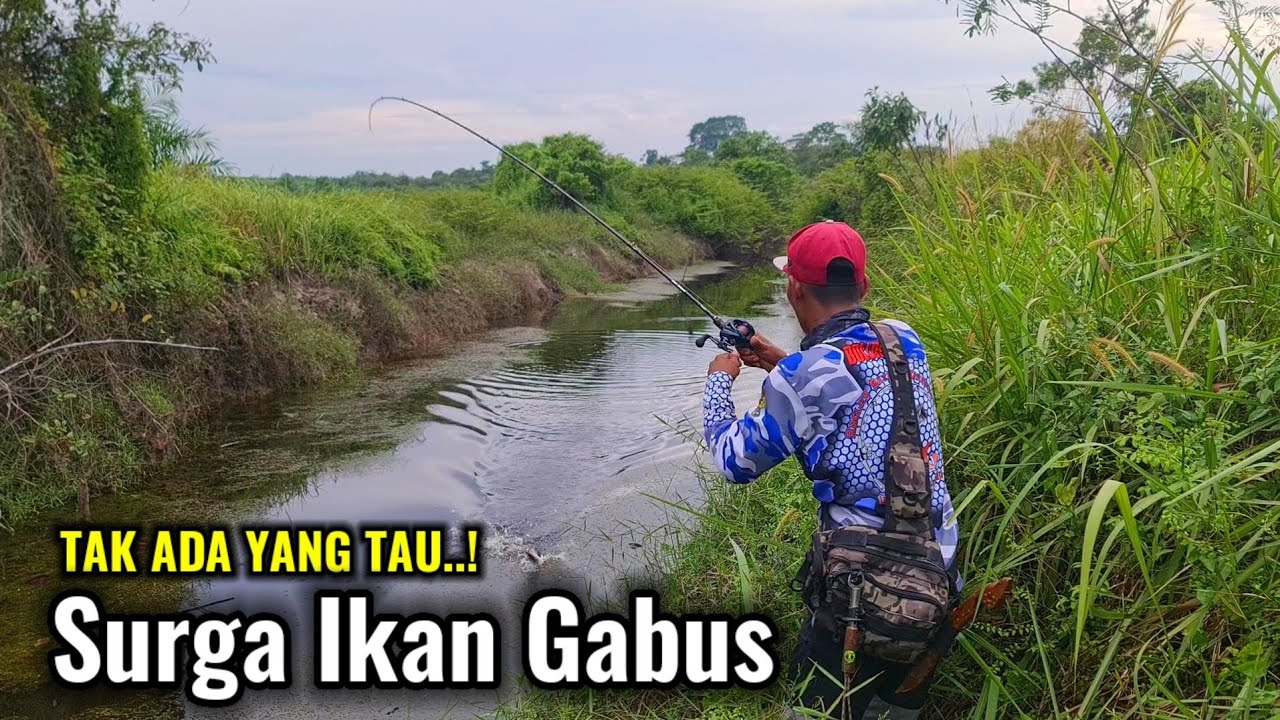 SANGAT BERUNTUNG MANCING DI PINGGIR JALAN || BISA DAPAT IKAN SEKARUNG SEHARI DI SINI