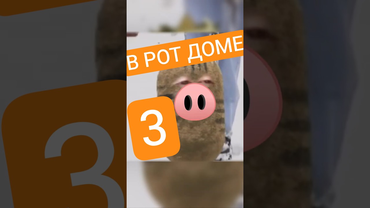В РОТ доме 3 #sleduck #sledovatel #rera #reraseal #vtuber #нарезки #мемы #twitch #мем #юмор #anime