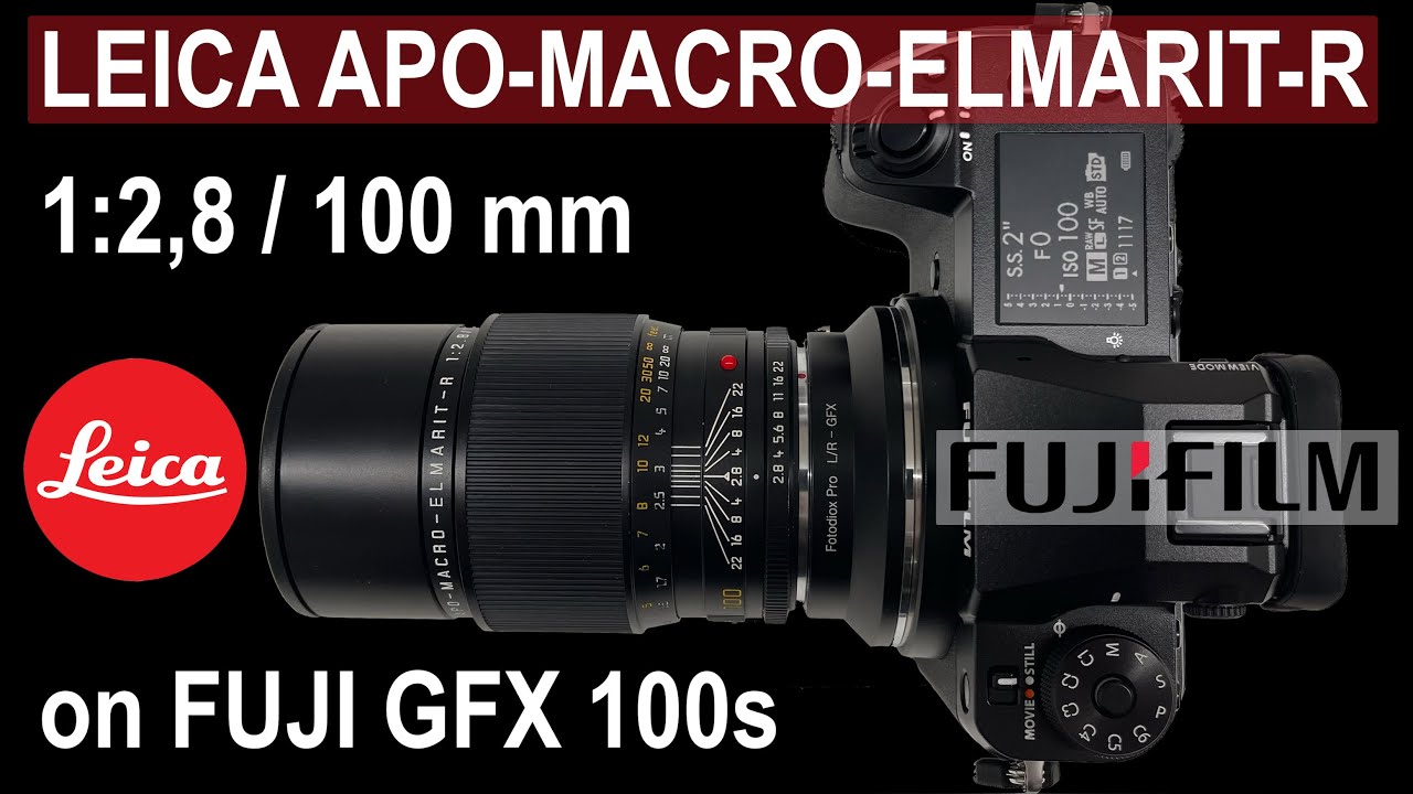 LEICA APO-MACRO-ELMARIT-R 100 f2,8 on FUJI GFX 100s: SHARP, SHARPER, SHARPEST!