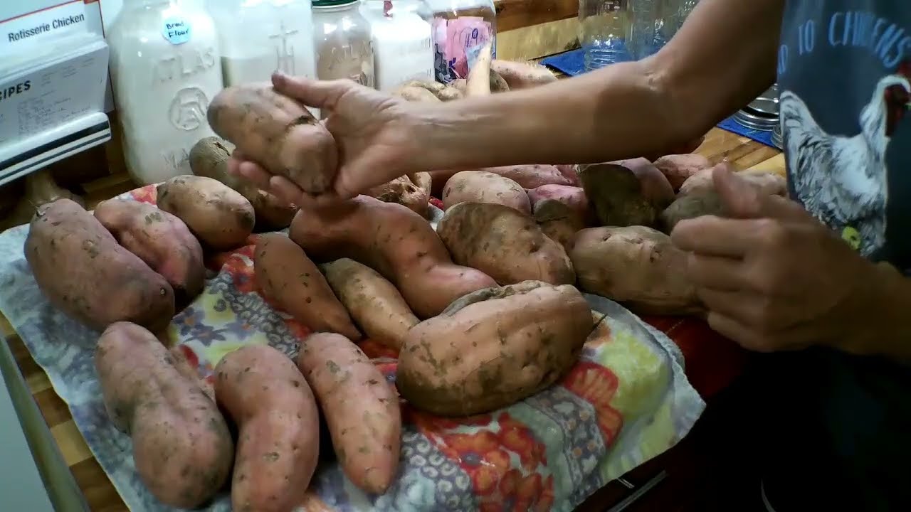 HOW TO COLD/RAW PACKING CANNED SWEET POTATOES/WHITE POTATOES 101 W/ TIPS  PERSERVING #HOMESTEAD VLOG