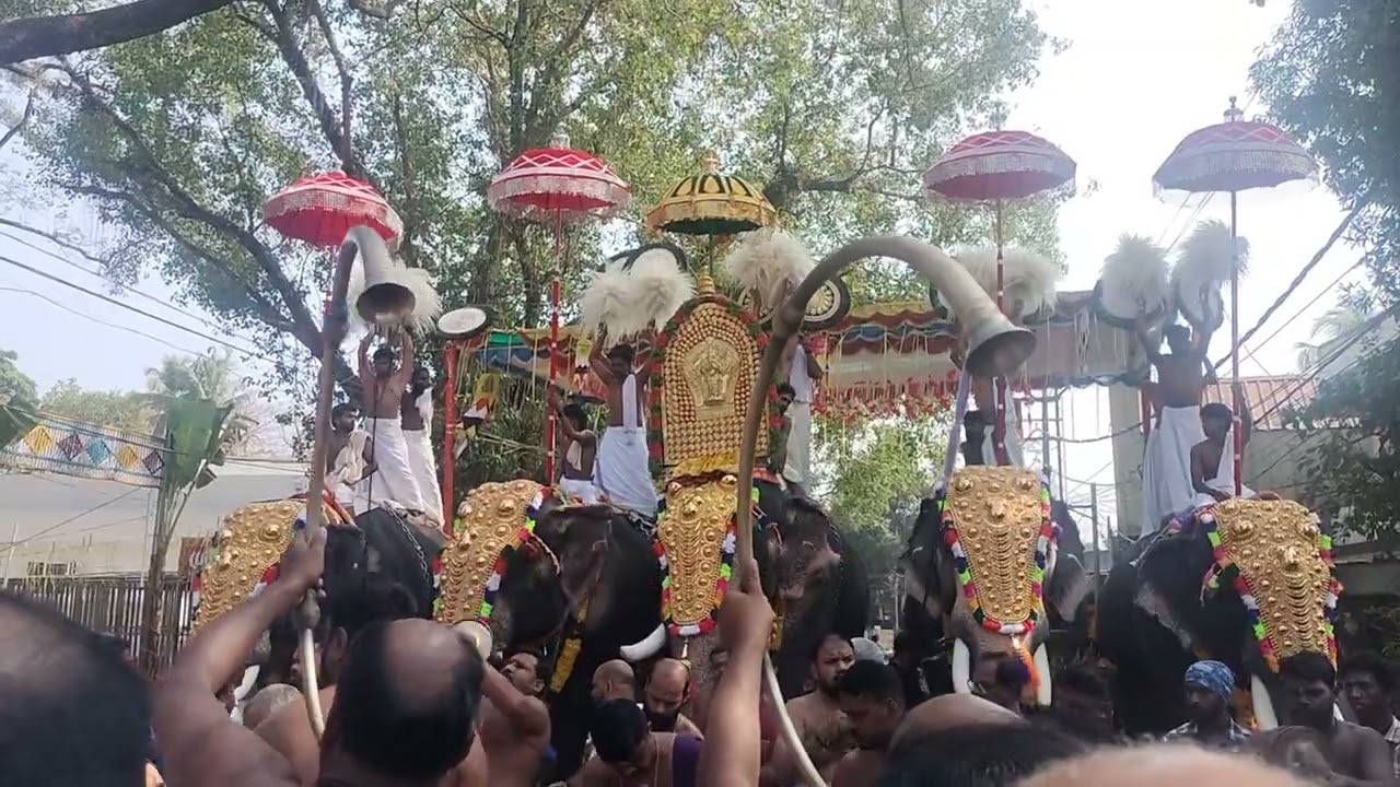 കൊടുങ്ങല്ലൂര്‍ താലപ്പൊലി 2026 #kodungallurdevitemple #kodungalloor #kodungallurthalappoli #shortfeed