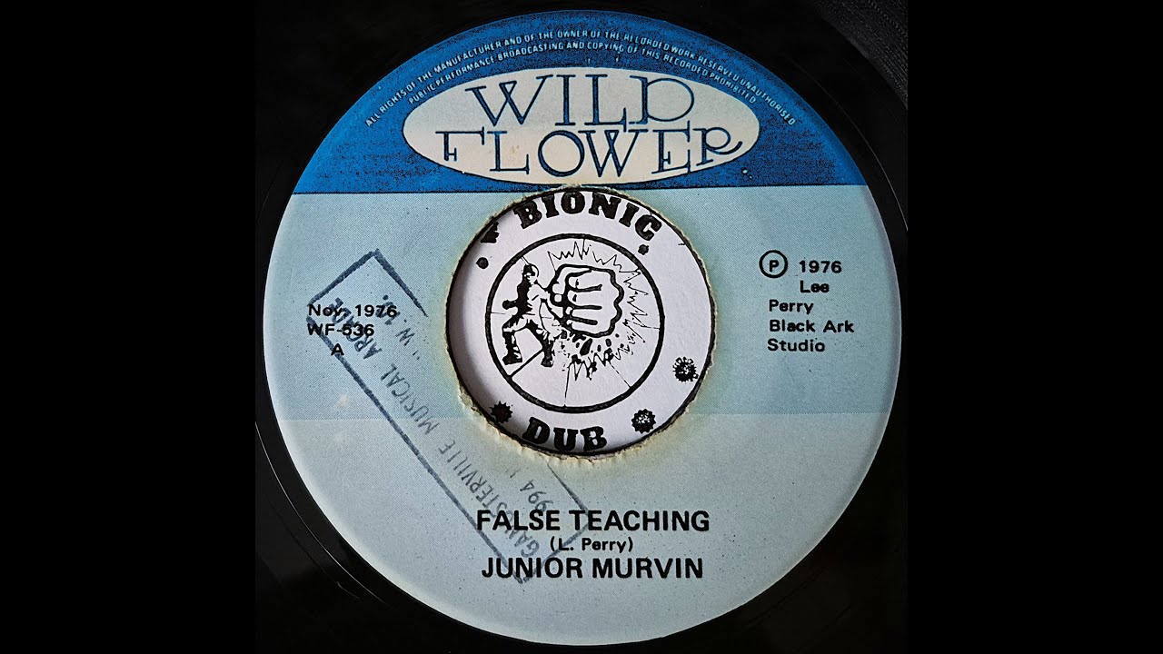 JUNIOR MURVIN - False Teaching [1976]