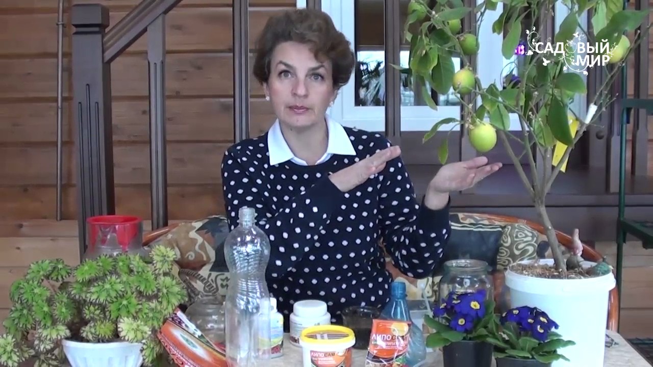 Как опрыскивать растения  Биоприлипатель Липосам