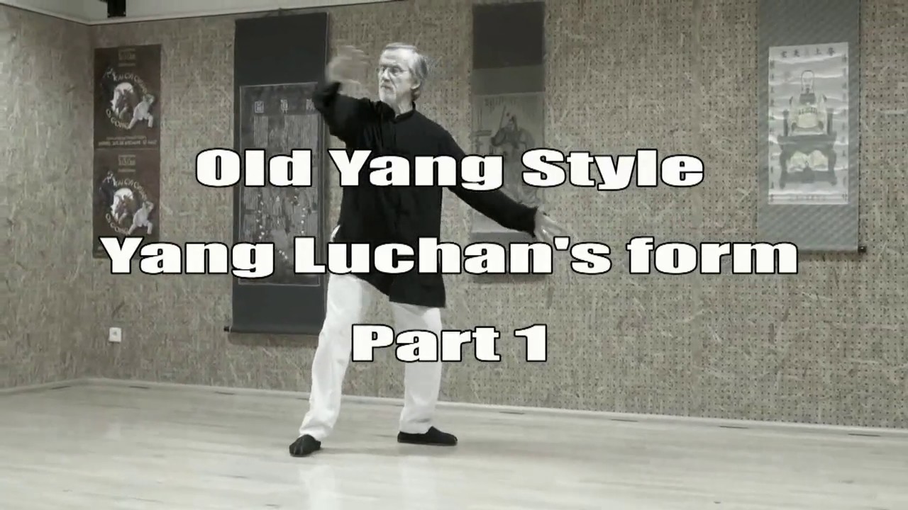 Yang Luchan's Form_1st part_François Hainry (Disciple direct de YOU Xuan De) ABTCC