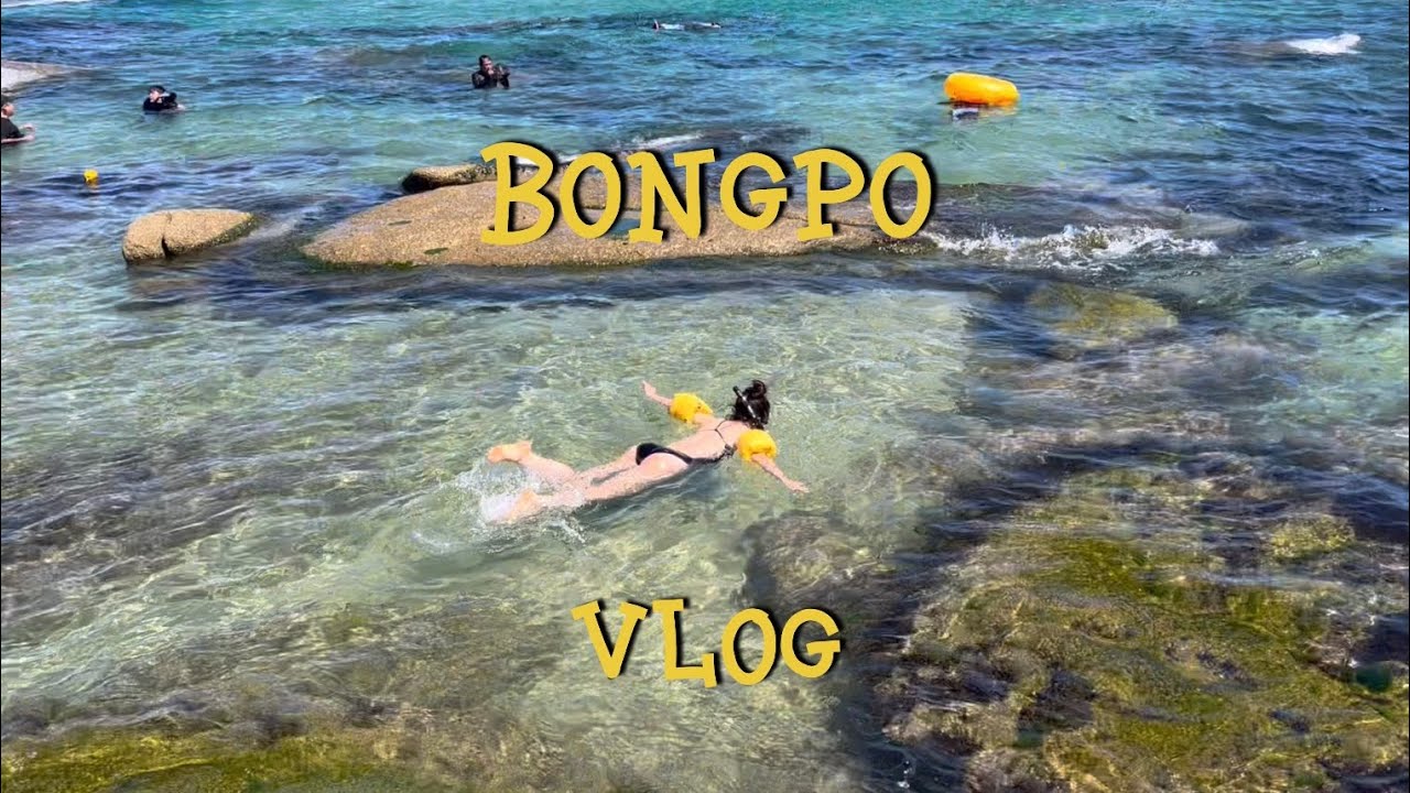 🏊🏻강원도 고성 봉포해변 스노클링 브이로그 | 피자트럭•카페•속초시장