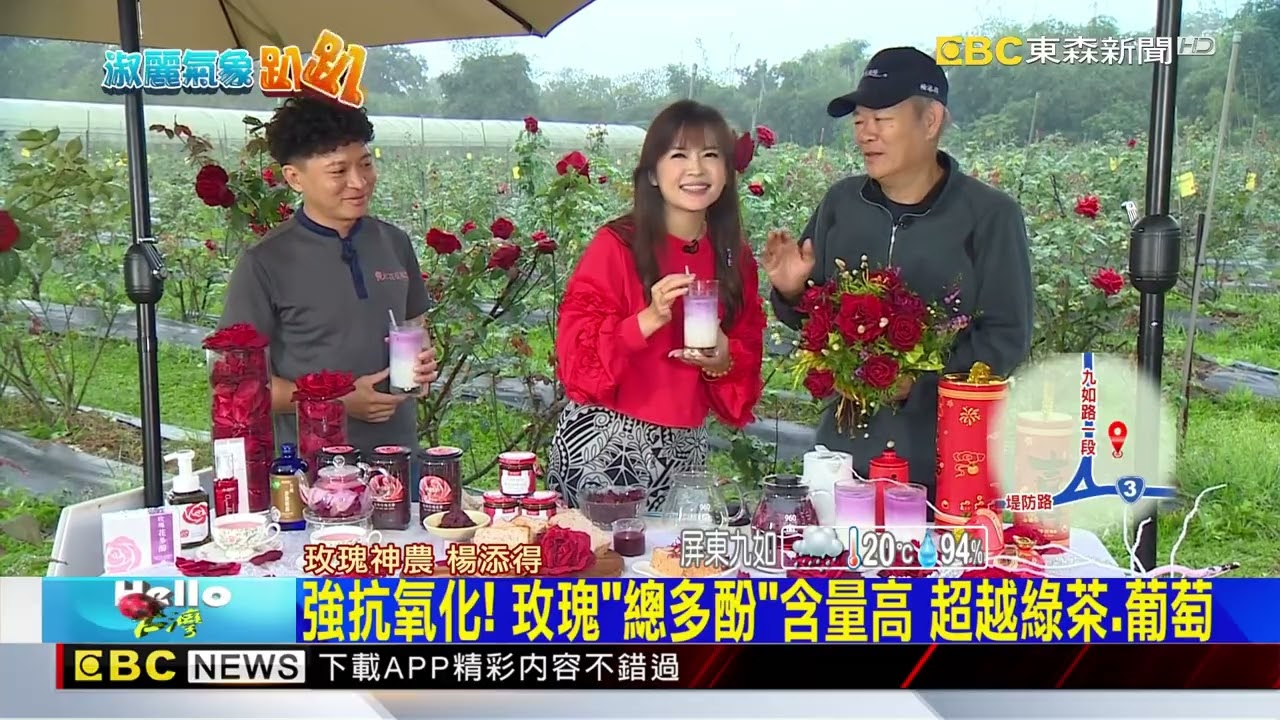 【淑麗趴趴GO】花開富貴迎新春！ 有機玫瑰目前花大、品質佳@newsebc