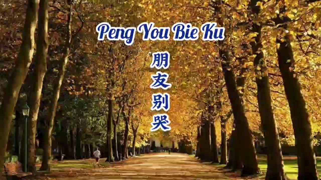 Sun Lu 孙露 - Peng You Bie Ku 朋友别哭 Teman, Jangan Menangis/ Friend, Please Don’t Cry! English ind Taiki