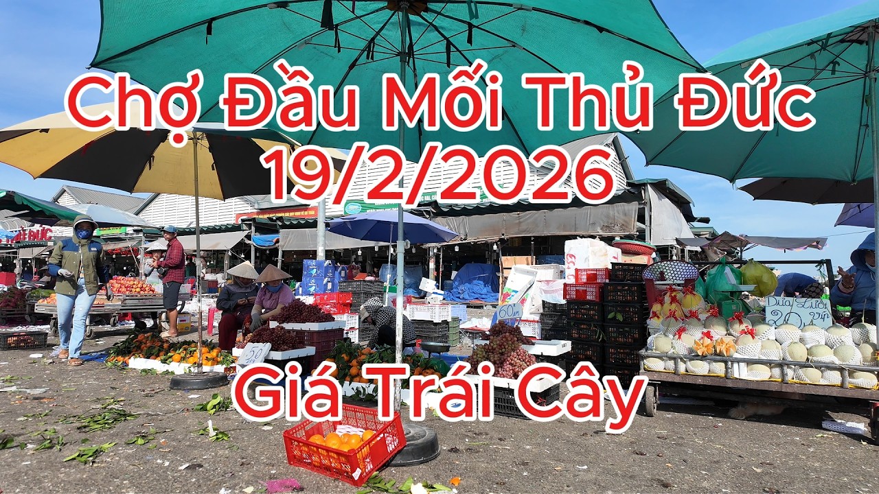 Giá thanh long, xoài cát và trái cây quá rẻ Chợ Đầu Mối Thủ Đức hôm nay 19/2