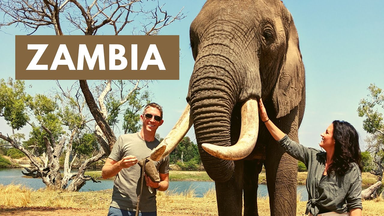 Livingstone, Zambia: Walking with Rhinos and Elephants; Devil's Pool