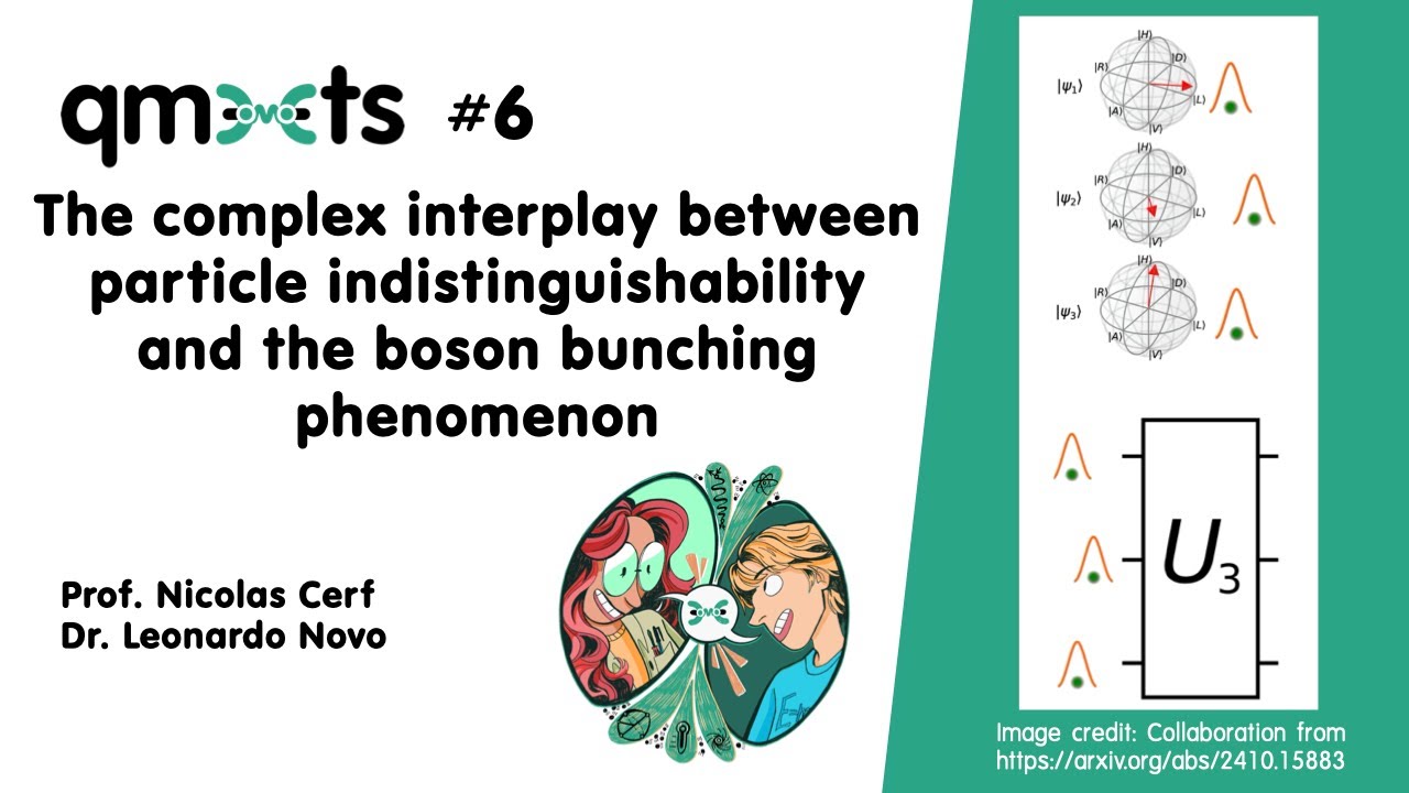 qmeets #6 | The complex interplay between particle indistinguishability and boson bunching