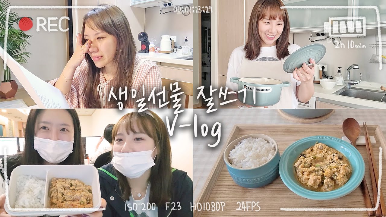 vlog | 비싼 생일선물로 삶을 업그레이드 했어요 :)💜 (르쿠르제 냄비) | 디바제니