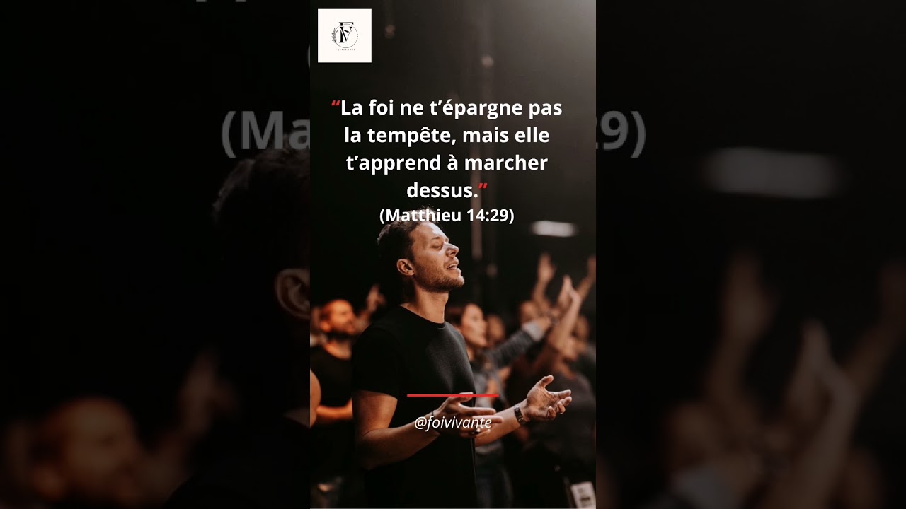 Matthieu 14 :29 🙏✝️❤️. #confianceendieu #dieufidele #foienaction #jesussaves #foivivante
