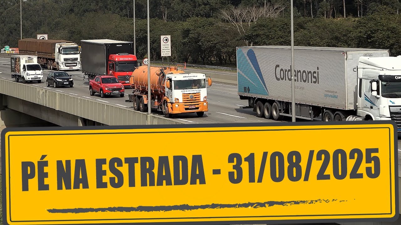 A falta de motoristas em números